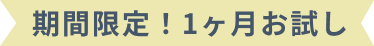 全機能を1ヶ月お試し！